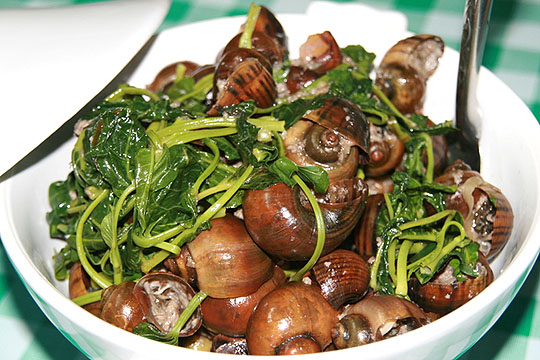 kuhol